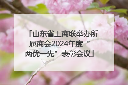 山东省工商联举办所属商会2024年度“两优一先”表彰会议
