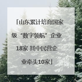 山东累计培育国家级“数字领航”企业18家 其中民营企业牵头10家