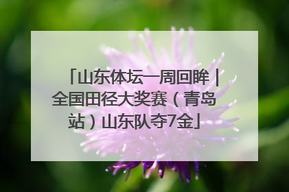山东体坛一周回眸｜全国田径大奖赛（青岛站）山东队夺7金