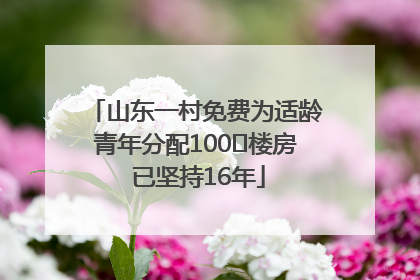 山东一村免费为适龄青年分配100㎡楼房 已坚持16年
