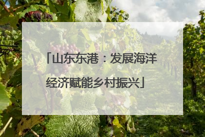 山东东港：发展海洋经济赋能乡村振兴