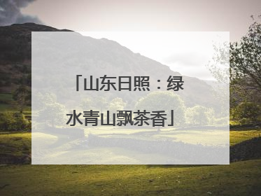 山东日照：绿水青山飘茶香