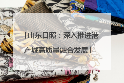 山东日照：深入推进港产城高质量融合发展