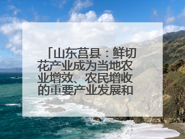 山东莒县：鲜切花产业成为当地农业增效、农民增收的重要产业发展和特色品牌