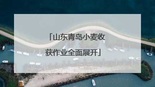 山东青岛小麦收获作业全面展开