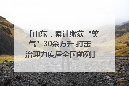 山东：累计缴获“笑气”30余万升 打击治理力度居全国前列