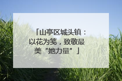 山亭区城头镇：以花为笺，致敬最美“她力量”