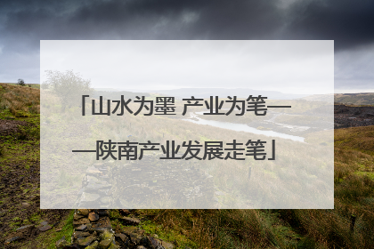 山水为墨 产业为笔——陕南产业发展走笔