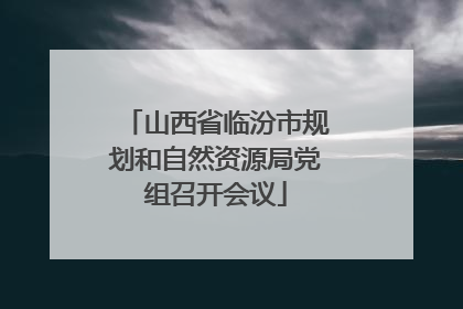山西省临汾市规划和自然资源局党组召开会议
