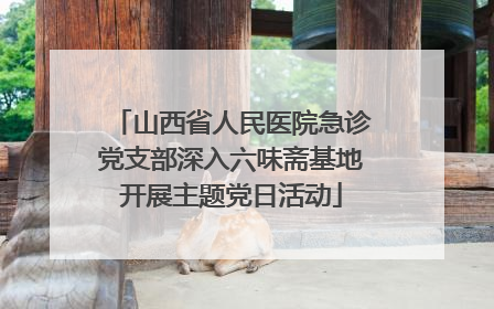 山西省人民医院急诊党支部深入六味斋基地开展主题党日活动