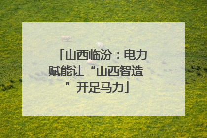 山西临汾：电力赋能让“山西智造”开足马力