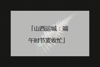 山西运城：端午时节麦收忙