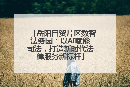 岳阳自贸片区数智法务园：以AI赋能司法，打造新时代法律服务新标杆