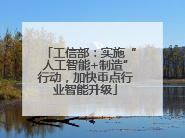 工信部：实施“人工智能+制造”行动，加快重点行业智能升级