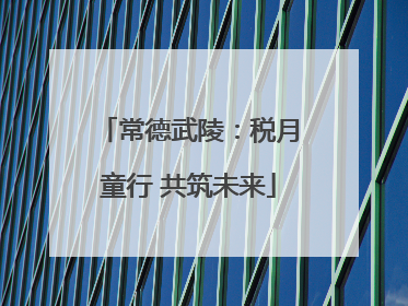 常德武陵：税月童行 共筑未来