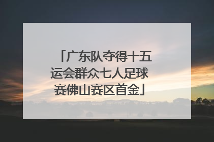 广东队夺得十五运会群众七人足球赛佛山赛区首金