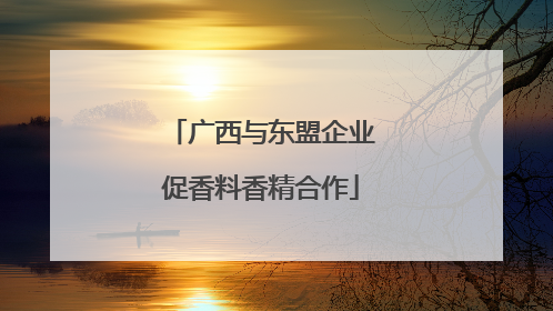 广西与东盟企业促香料香精合作