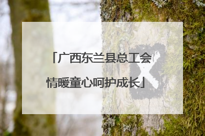 广西东兰县总工会情暖童心呵护成长