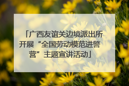 广西友谊关边境派出所开展“全国劳动模范进警营”主题宣讲活动