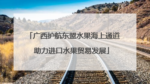 广西护航东盟水果海上通道 助力进口水果贸易发展