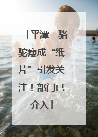 平潭一骆驼瘦成“纸片”引发关注！部门已介入