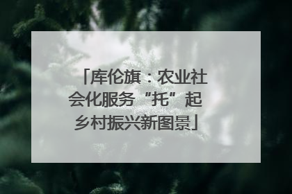 库伦旗：农业社会化服务“托”起乡村振兴新图景