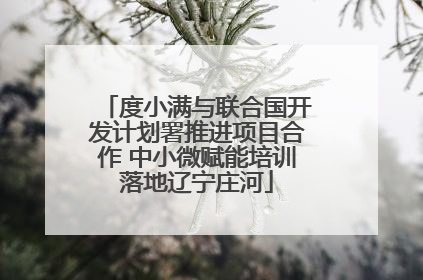 度小满与联合国开发计划署推进项目合作 中小微赋能培训落地辽宁庄河