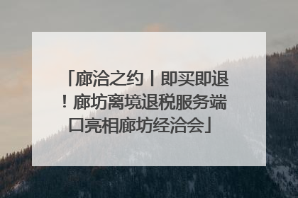 廊洽之约丨即买即退！廊坊离境退税服务端口亮相廊坊经洽会