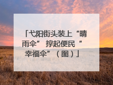 弋阳街头装上“晴雨伞” 撑起便民“幸福伞”（图）