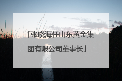 张晓海任山东黄金集团有限公司董事长