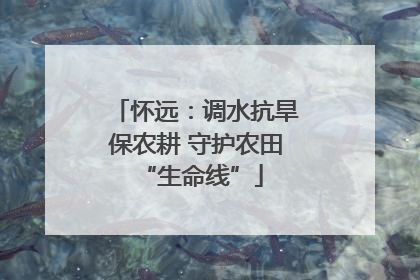 怀远：调水抗旱保农耕 守护农田 “生命线”