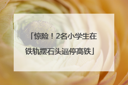 惊险！2名小学生在铁轨摆石头逼停高铁