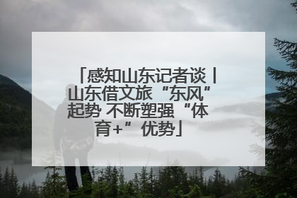 感知山东记者谈丨山东借文旅“东风”起势 不断塑强“体育+”优势