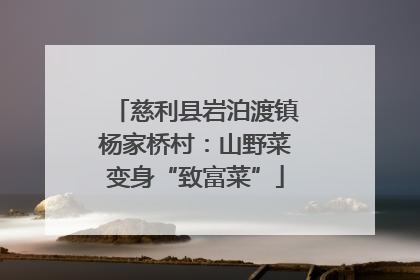 慈利县岩泊渡镇杨家桥村：山野菜变身“致富菜”