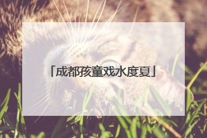 成都孩童戏水度夏