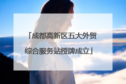 成都高新区五大外贸综合服务站授牌成立