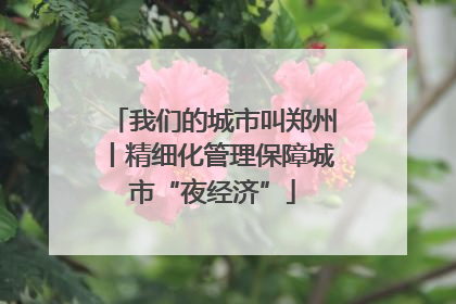 我们的城市叫郑州丨精细化管理保障城市“夜经济”