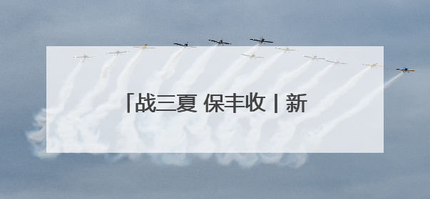 战三夏 保丰收丨新乡县：20万亩小麦种子田开启大规模收割