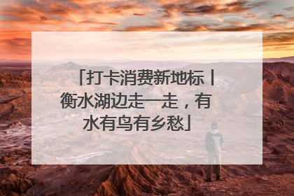 打卡消费新地标丨衡水湖边走一走，有水有鸟有乡愁