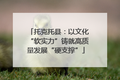 托克托县：以文化“软实力”铸就高质量发展“硬支撑”