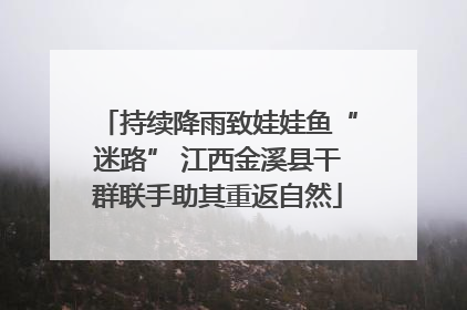 持续降雨致娃娃鱼“迷路” 江西金溪县干群联手助其重返自然