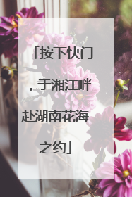 按下快门，于湘江畔赴湖南花海之约