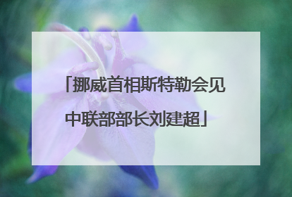 挪威首相斯特勒会见中联部部长刘建超
