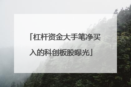 杠杆资金大手笔净买入的科创板股曝光