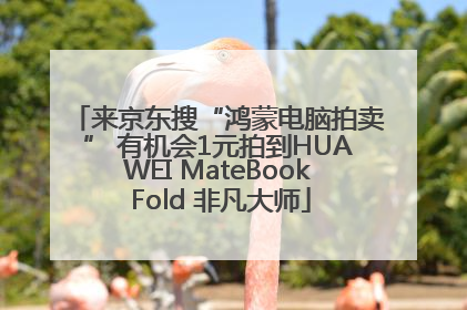 来京东搜“鸿蒙电脑拍卖” 有机会1元拍到HUAWEI MateBook Fold 非凡大师