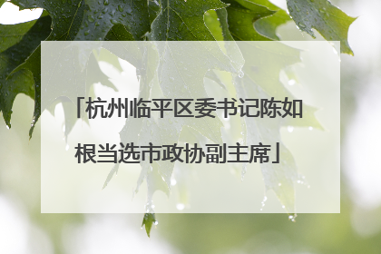 杭州临平区委书记陈如根当选市政协副主席
