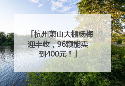 杭州萧山大棚杨梅迎丰收，96颗能卖到400元！