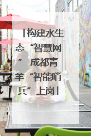 构建水生态“智慧网” 成都青羊“智能哨兵”上岗