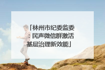 林州市纪委监委：民声微信群激活基层治理新效能