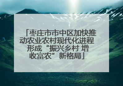 枣庄市市中区加快推动农业农村现代化进程 形成“振兴乡村 增收富农”新格局